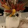 jane chapman - @janechapman59 - TikTok