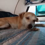 Janette Chapman - @janettechapman969 - Instagram