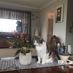 Janette Chapman - @janettechapman29 - Instagram