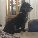 Janet Naylor Coburn - @janetnaylorcoburn - Instagram