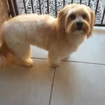Janette Connolly - @janette.connolly.169 - Instagram