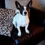 Janette Cox - @janettecox739 - Instagram