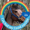 Janet Crouch322 - @janetcrouch322 - TikTok