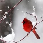 Janet Curtis Sucher - @janetcurtissucher - Instagram