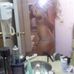 Janette Diana - Facebook