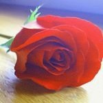 Janette DOWNS - @janettedowns530 - Instagram
