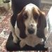 Janette Downs - Facebook