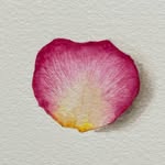 Janet Doyle - @janetdoyleart - Instagram