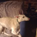 Janet Farley - Facebook