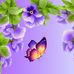 Janette Field - Facebook