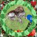 Janette Floyd - Facebook