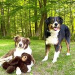 Janet Fowler - @planet52638 - Instagram