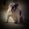 Janette Plaza Fowler - @janetteplazafowle - TikTok