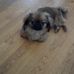 Janette Good - Facebook