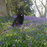 Janette Goodwin - @janette.goodwin.52 - Instagram