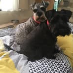Janette Gray - Facebook