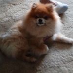 Janet Grimes - @janet.grimes.180 - Instagram