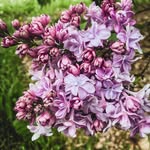 Janette Holtzman - @janetteholtzman - Instagram