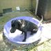 Janet Howell - Facebook