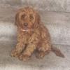 Janette Jacobs - @janette.jacobs3 - TikTok