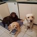 Janette Keen - Facebook