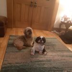 Janet Kirkpatrick - @squintywoo - Instagram