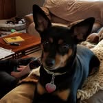 Janette Lee - @janettelee852025 - Instagram