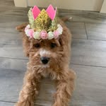 Janette Lee-Foo - @janetteleefoo - Instagram