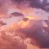 janette.lee - @janette.lee - TikTok