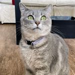 Janet Madden Redmond McCourt - @janetmadredmccourt - Instagram