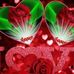 Janette Madden - Facebook