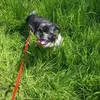 Jane Marks - @jane.marks5 - TikTok