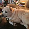 Janet Marks - @janet.marks84 - TikTok