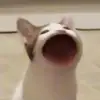 janettemarsh5 - @janettemarsh5 - TikTok