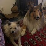 Janette Michaels - @janettemichaels - Instagram