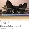 janettemueller231 - @janettemueller231 - TikTok