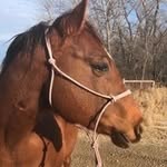 Janette Nelson - @janette__nelson44 - Instagram