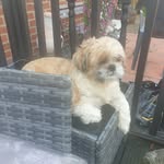 Janette Patterson - @pattersonjanette - Instagram