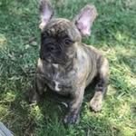 Janette Patterson - @janette_patterson - Instagram