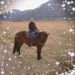 Janette Patterson - @janette.patterson.33 - Instagram