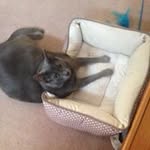 Janette Patterson Wass - @janettepattersonwass - Instagram