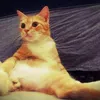 Janet.Patton - @ykulaxnpo3m - TikTok