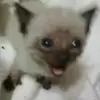 Janet Perry - @janet.perry42 - TikTok