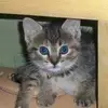 Janet Perry - @janetperry03 - TikTok