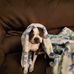 Janette Phillips - Facebook