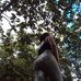 Janet Polanco - Facebook