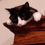 Janet Porter - @porter.janet - Instagram