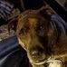 Janette Porter - Facebook