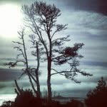 Janette Porter - @downlaroni - Instagram