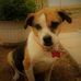 Janette Richardson - Facebook